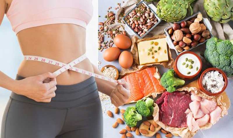 how does protein help burn fat
